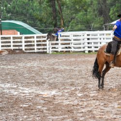 Rodeio 2017 - Provas Campeiras