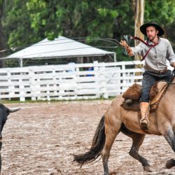 Rodeio 2017 - Provas Campeiras