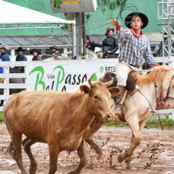 Rodeio 2017 - Provas Campeiras