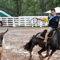 Rodeio 2017 - Provas Campeiras