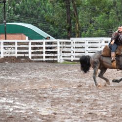 Rodeio 2017 - Provas Campeiras