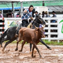 Rodeio 2017 - Provas Campeiras