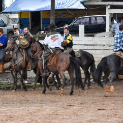 Rodeio 2017 - Provas Campeiras