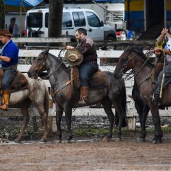 Rodeio 2017 - Provas Campeiras