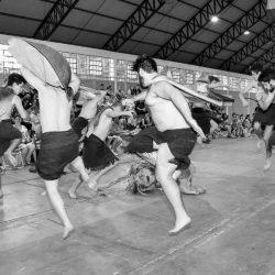 Rodeio 2017 - Dan&ccedil;as Tradicionais