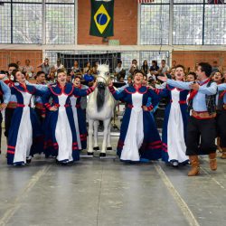 Rodeio 2017 - Dan&ccedil;as Tradicionais