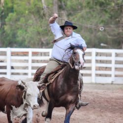 Rodeio 2018 - Provas Campeiras