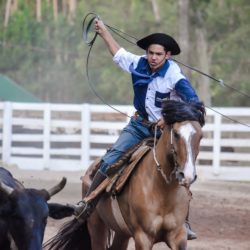 Rodeio 2018 - Provas Campeiras