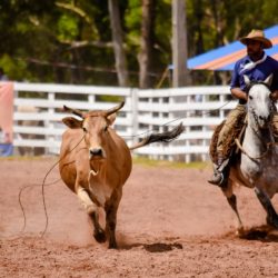 Rodeio 2018 - Provas Campeiras