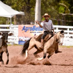 Rodeio 2018 - Provas Campeiras