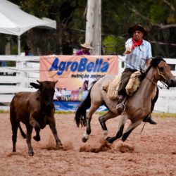 Rodeio 2018 - Provas Campeiras