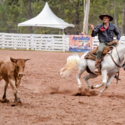 Rodeio 2018 - Provas Campeiras