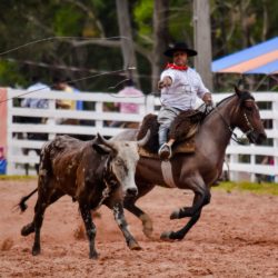 Rodeio 2018 - Provas Campeiras