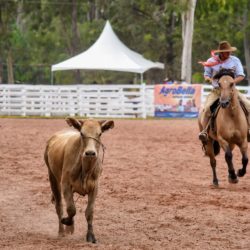 Rodeio 2018 - Provas Campeiras