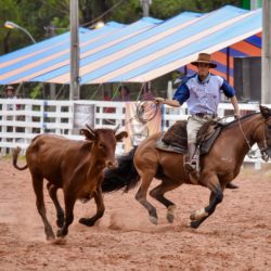 Rodeio 2018 - Provas Campeiras