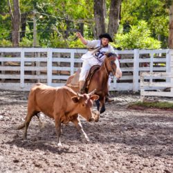 Rodeio 2018 - Provas Campeiras