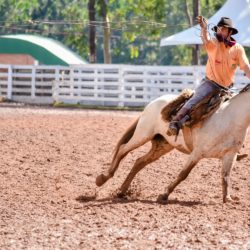 Rodeio 2018 - Provas Campeiras