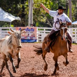 Rodeio 2018 - Provas Campeiras