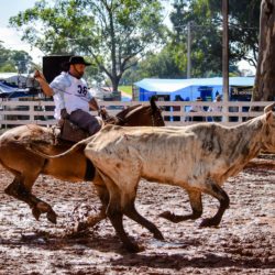 Rodeio 2018 - Provas Campeiras