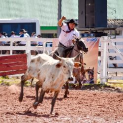 Rodeio 2018 - Provas Campeiras