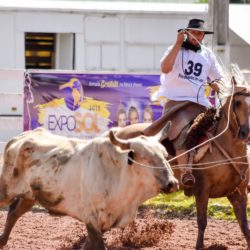 Rodeio 2018 - Provas Campeiras