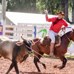 Rodeio 2018 - Provas Campeiras