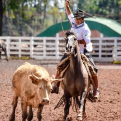 Rodeio 2018 - Provas Campeiras