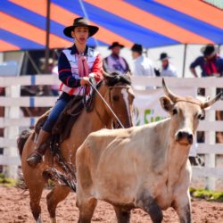 Rodeio 2018 - Provas Campeiras