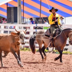 Rodeio 2018 - Provas Campeiras