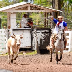 Rodeio 2018 - Provas Campeiras