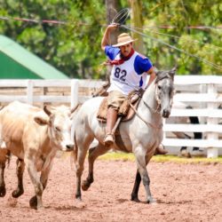 Rodeio 2018 - Provas Campeiras