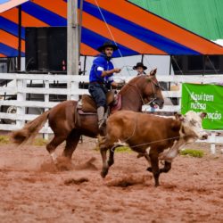 Rodeio 2018 - Provas Campeiras