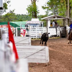 Rodeio 2018 - Provas Campeiras