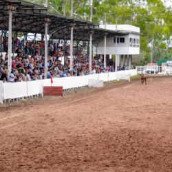 Rodeio 2018 - Provas Campeiras