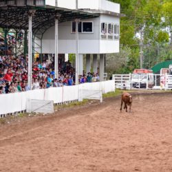 Rodeio 2018 - Provas Campeiras