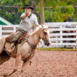 Rodeio 2018 - Provas Campeiras