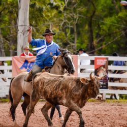 Rodeio 2018 - Provas Campeiras