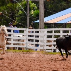 Rodeio 2018 - Provas Campeiras