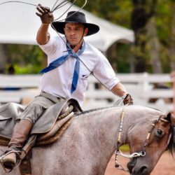 Rodeio 2018 - Provas Campeiras