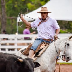 Rodeio 2018 - Provas Campeiras