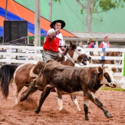 Rodeio 2018 - Provas Campeiras