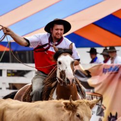 Rodeio 2018 - Provas Campeiras