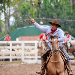 Rodeio 2018 - Provas Campeiras