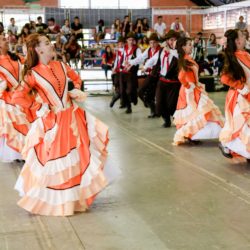 Rodeio 2018 - Provas Artísticas