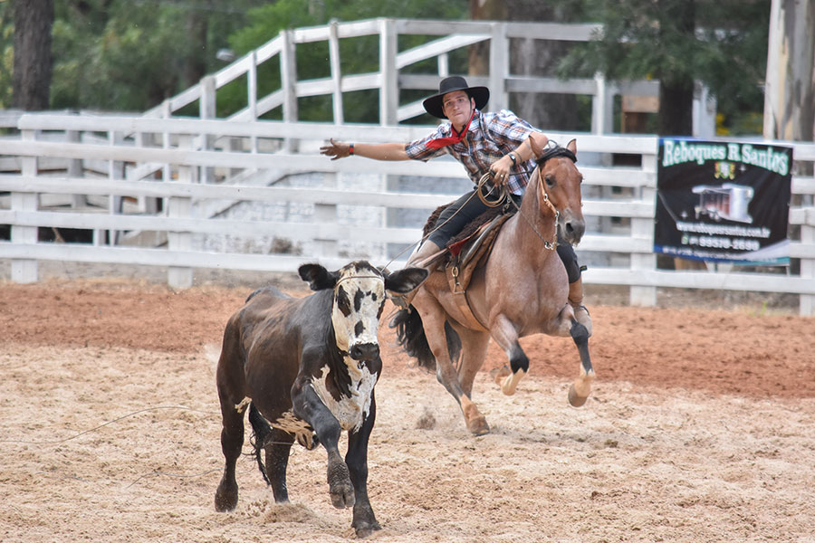 Provas campeiras abrem programa&ccedil;&atilde;o do Rodeio Internacional de Soledade