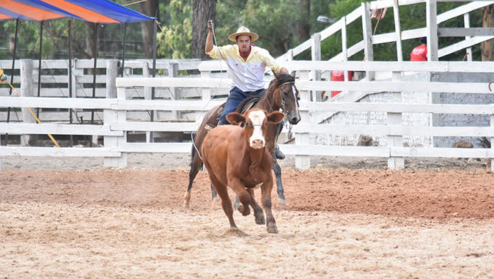 Provas campeiras abrem programação do Rodeio Internacional de Soledade