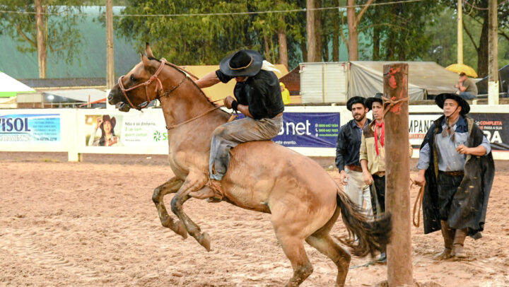 Rodeio, Internacional, Soledade, Laço, Provas Campeiras, Provas Artísticas, Shows e Bailes