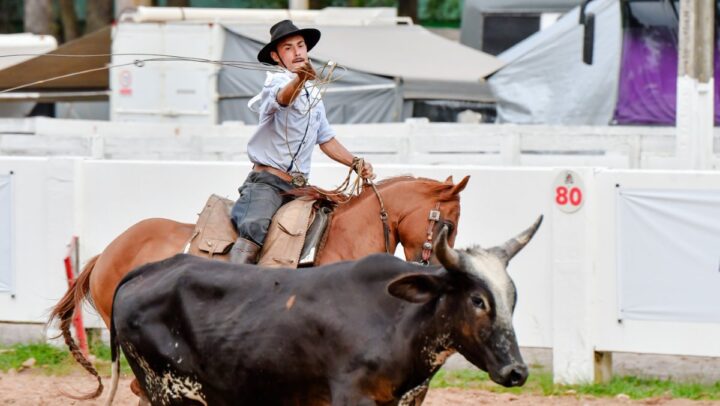 Rodeio, Internacional, Soledade, La&ccedil;o, Provas Campeiras, Provas Art&iacute;sticas, Shows e Bailes